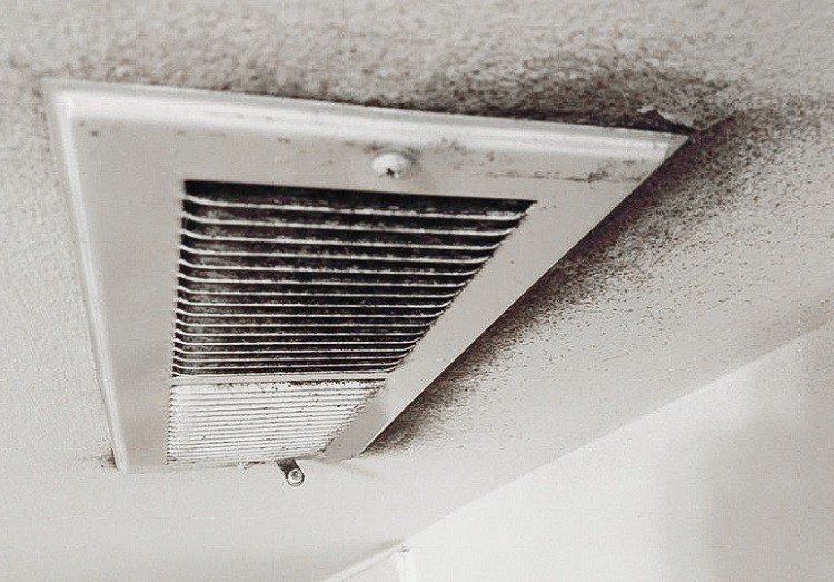 Air vent on moldy white ceiling